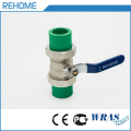 20mm PPR Water Pipe Fittings Single Ends Valve (male)